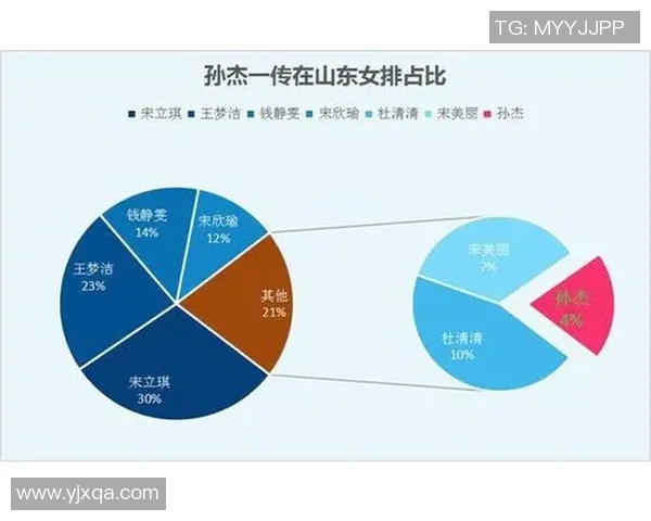 成都排球队状态对比深度分析揭示球队未来发展潜力与挑战