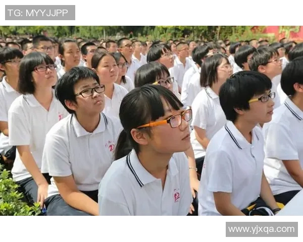 武汉排球队的拼搏之路与荣耀时刻全景回顾